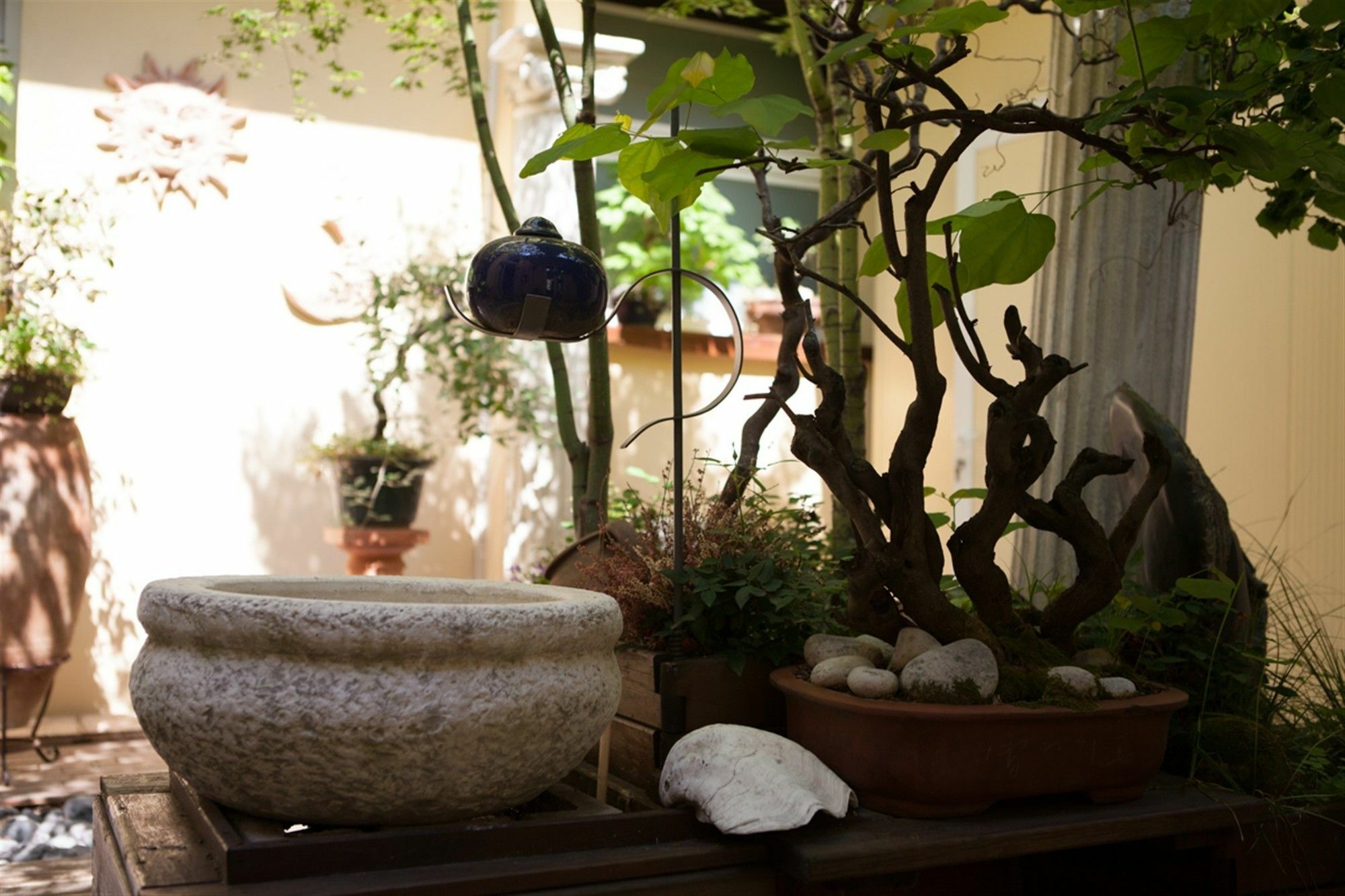 Hotel Terme Olympia Montegrotto Terme Εξωτερικό φωτογραφία